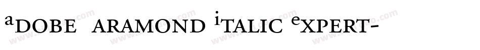Adobe Garamond Italic Expert字体转换